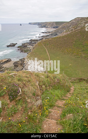 Tregardock Beach an der Atlantikküste Cornwalls, gesehen von einem Felsvorsprung über dem Crookmoyle Rock Stockfoto