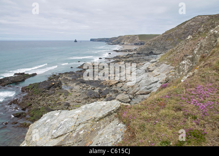 Tregardock Beach an der Atlantikküste Cornwalls, gesehen von einem Felsvorsprung über dem Crookmoyle Rock Stockfoto