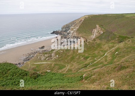 Tregardock Beach an der Atlantikküste Cornwalls, gesehen von Tregardock Cliff Stockfoto