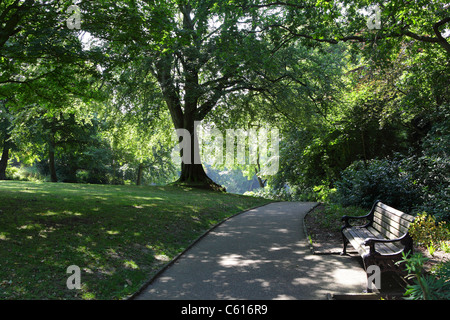 Ginseng Gärten St. Leonards-on-Sea East Sussex UK GB Stockfoto