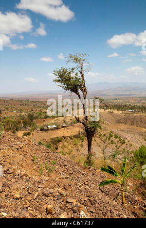 Panorama in der Nähe von Konso am unteren Omo-Tal, Südliches Äthiopien, Afrika. Stockfoto