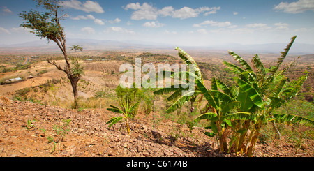 Panorama in der Nähe von Konso am unteren Omo-Tal, Südliches Äthiopien, Afrika. Stockfoto