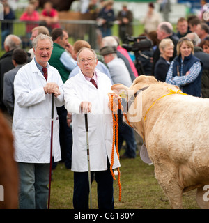 zwei Bauern mit ihren Stieren im Wettbewerb am Royal Welsh Agricultural Show, Builth Wells, Wales, 2011 Stockfoto