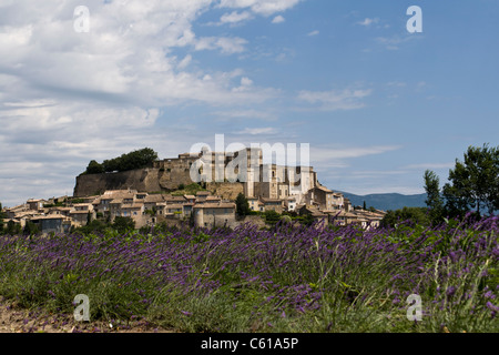 Lavendelfelder in Grignan, Provence, Frankreich Stockfoto