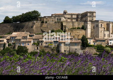 Lavendelfelder in Grignan, Provence, Frankreich Stockfoto