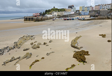 Exponierten Felsen bei Ebbe zu der Eingang zum Tenby Hafen in Wales Stockfoto