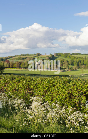 Abend-Sonnenlicht fällt auf die Cotswold Dorf Guiting Power, Gloucestershire Stockfoto
