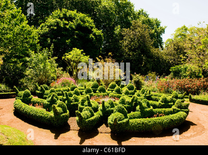 Palheiro Gärten, gelegen in der Palheiro Estate auf der Insel Madeira. Stockfoto