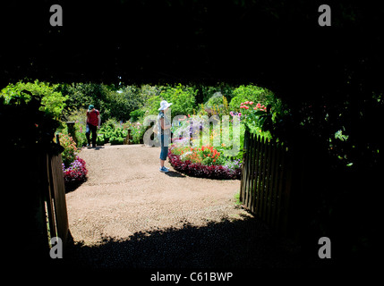 Palheiro Gärten, gelegen in der Palheiro Estate auf der Insel Madeira. Stockfoto