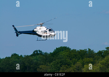 Hubschrauber-Landung oder ausziehen über Bäume Stockfoto