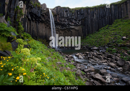 Wasserfall Svartifoss in Skaftafell Park, Island Stockfoto