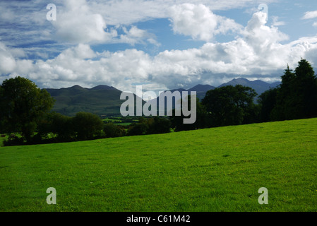 Landwirtschaft in Großbritannien Irland sammeln der Ernte Schneiden der Hafer auf einem Traktor Stockfoto