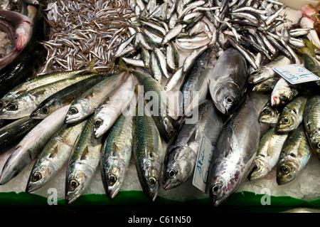 Fisch stand, La Boqueria, Barcelona, Spanien Stockfoto