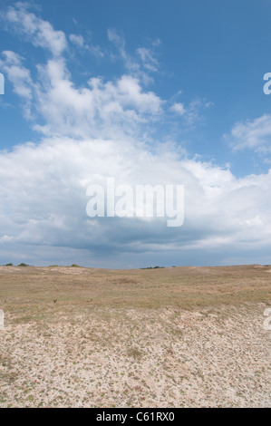 Foto von den Dünen an der Côte Sauvage in der Bretagne, Frankreich Stockfoto