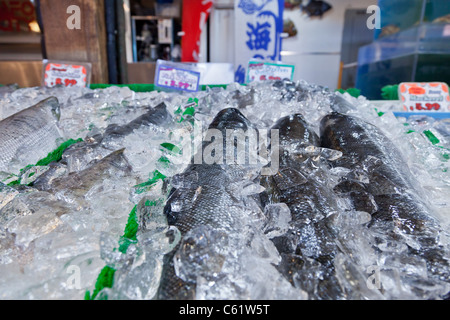 Frische Makrelen auf einem Bett aus Eis zum Verkauf auf Markt Stockfoto