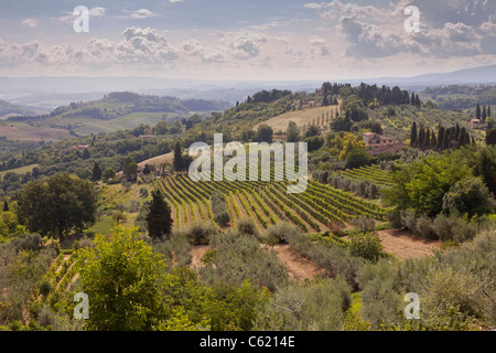 Panoramablick auf der typischen toskanischen Landschaft von San Gimignano, Italien, wellige Hügellandschaft betrachtet Stockfoto