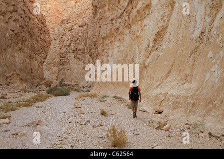 Israel, Vardit Canyon in der Negev-Wüste Stockfoto