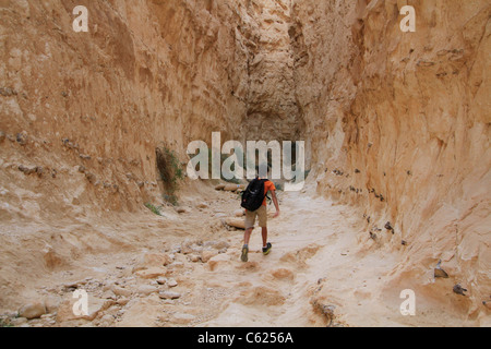 Israel, Vardit Canyon in der Negev-Wüste Stockfoto