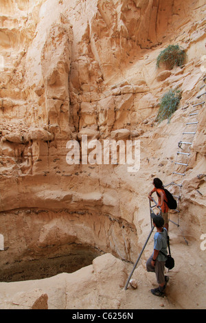 Israel, Vardit Canyon in der Negev-Wüste Stockfoto