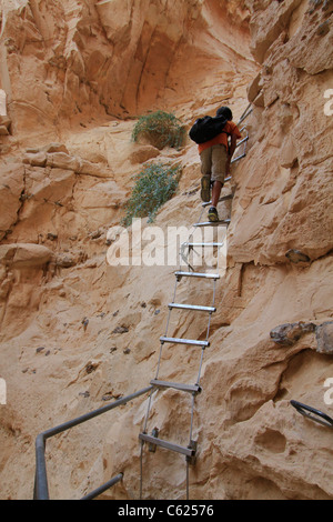 Israel, Vardit Canyon in der Negev-Wüste Stockfoto