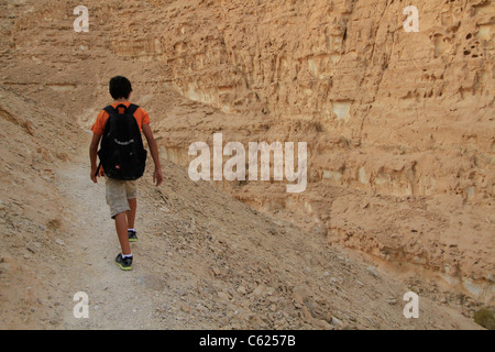 Israel, Vardit Canyon in der Negev-Wüste Stockfoto