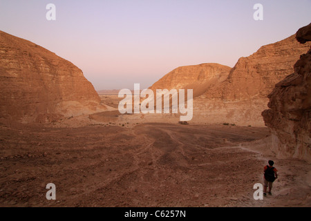 Israel, Vardit Canyon in der Negev-Wüste Stockfoto