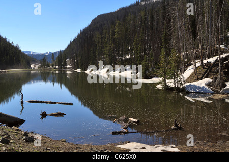 Eleanor Lake, Yellowstone-Nationalpark, Wyoming. Schnee bleibt auf dem Boden Anfang Juli in der Nähe von Sylvan Pass. Stockfoto