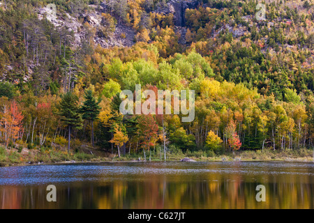 Reflexionen der Herbstfarbe im See im Acadia National Park auf Mount Desert Island in Maine. Stockfoto