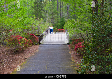 Garten-Szene bei "Azalee Bowl" Fläche von Callaway Gardens ich Stockfoto