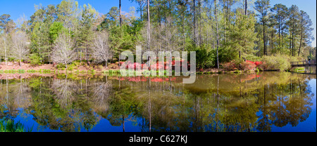 Panoramablick auf 'Azalea Bowl' und See an einem schönen Tag im April in Callaway Gardens in Pine Mountain, Georgia. Stockfoto