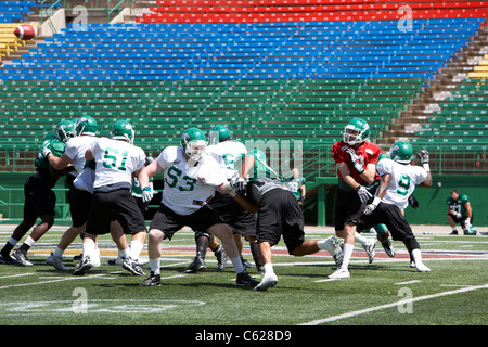 Saskatchewan ehemaliger Pre Season Training Mosaik Stadion Taylor Feld Regina Kanada Stockfoto