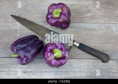 lila Paprika mit Messer Stockfoto