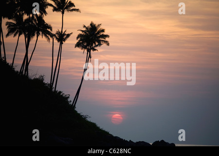 Eine tropische Sonne untergeht in den Ozean, die Silhouette von Palmen Stockfoto