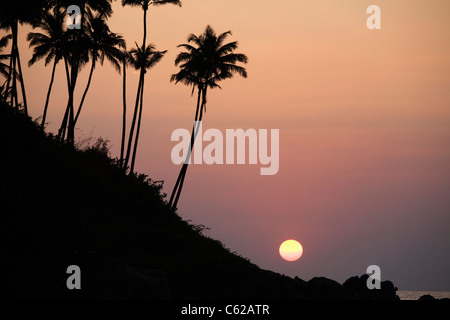 Eine tropische Sonne untergeht in den Ozean, die Silhouette von Palmen Stockfoto