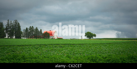 Ländliche Landschaft von Minnesota mit dem Bauernhaus schöne Landschaftsbilder Bilder Fotos große hohe Auflösung horizontal in den USA USA Hi-res Stockfoto