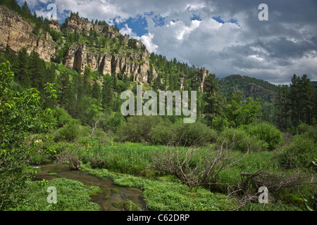 Spearfish Canyon Black Hills National Forest South Dakota SD-Bilder Bilder Bilder Fotos über Kopf große hohe Auflösung horizontal in den USA Hi-res Stockfoto