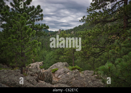 American Black Hills South Dakota SD in den USA US-Bilder Bilder Bilder Fotos von oben fotografiert große hohe Auflösung horizontale Hi-res Stockfoto