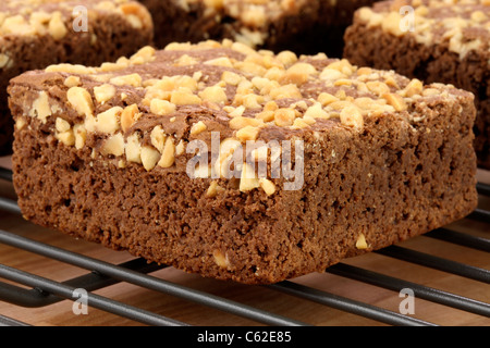 frische herrlich feucht Brownies mit einem tief fudgy Schokoladenaroma Stockfoto