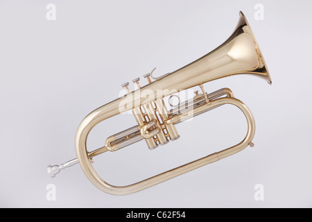 Eine komplette Flügelhorn oder Flügelhornist-Horn isoliert auf einem weißen Hintergrund. Stockfoto