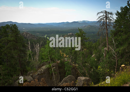 Black Hills in South Dakota USA US Needles Highway Custer State Park National Forest malerische Berge wunderschöne Landschaft mit horizontaler Hochauflösung Stockfoto