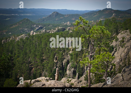 Black Hills in South Dakota USA US Needles Highway Custer State Park National Forest wunderschöne Landschaft von oben horizontal in den USA US High-res Stockfoto