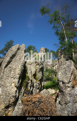 Black Hills in South Dakota in den USA US Needles Highway Custer State Park National Forest malerische Berge wunderschöne Landschaft mit niedrigem Winkel Hi-res Stockfoto