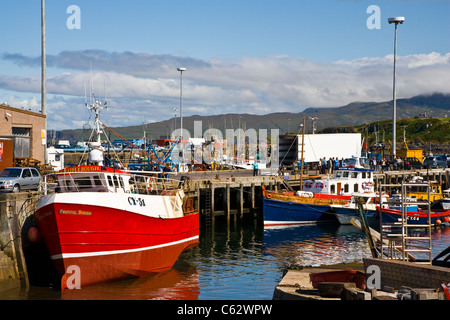 Inverness-Shire, Angelboote/Fischerboote im Hafen von Mallaig; Schottland Stockfoto