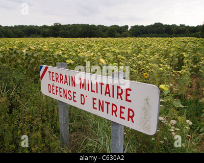 Militärische Gelände Warnzeichen bei einem großen Sonnenblumenfeld, Loiretal, Frankreich Stockfoto