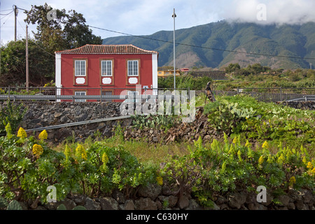 Typische kleine Haus in Mazo, La Palma, Kanarische Inseln, Spanien, Europa Stockfoto