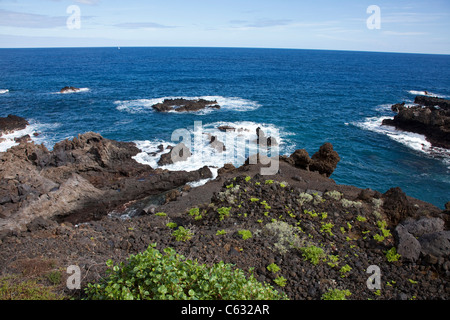 An der felsigen Küste von Playa Cancajos, La Palma, Kanarische Inseln, Spanien, Europa Stockfoto