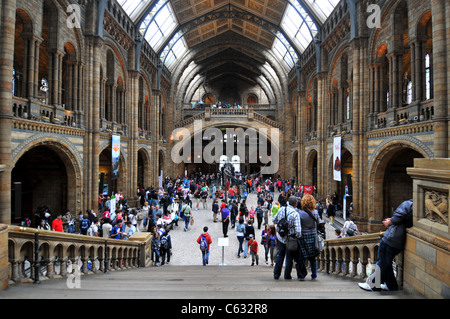 Natural History Museum, London, England, UK Stockfoto