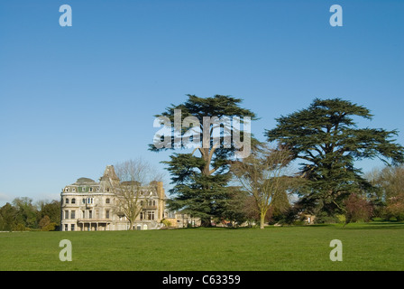 Parkplatz am Remenham in der Nähe von Henley in Berkshire, UK Fassade mit Parklandschaft und zwei Zedern Stockfoto