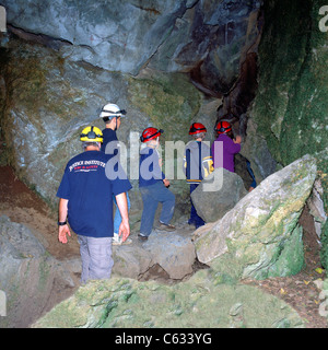 Höhlenforscher erkunden untere Höhle bei Horne Lake Höhlen Provincial Park, Vancouver Island, BC, Britisch-Kolumbien, Kanada Stockfoto