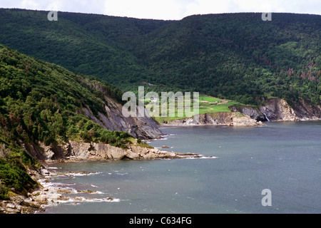 Fleisch Cove, Insel Cape Breton, Nova Scotia, Kanada - zerklüftete Küste entlang des St. Lorenz-Golf und Atlantik Stockfoto